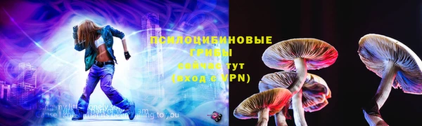 герыч Снежинск
