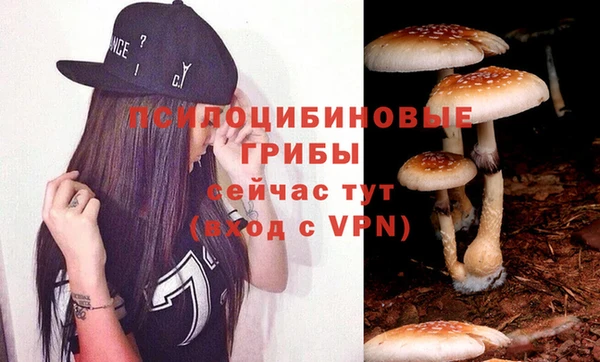 герыч Снежинск