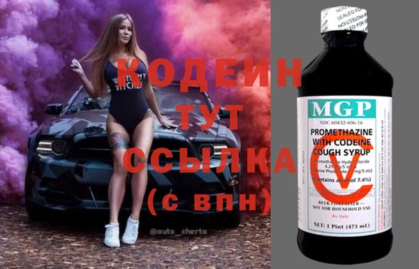 трава Слюдянка
