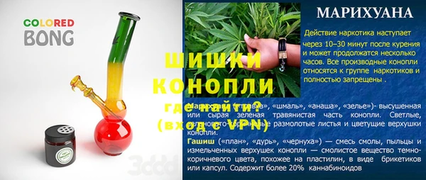 трава Слюдянка