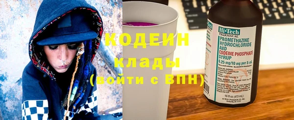 трава Слюдянка