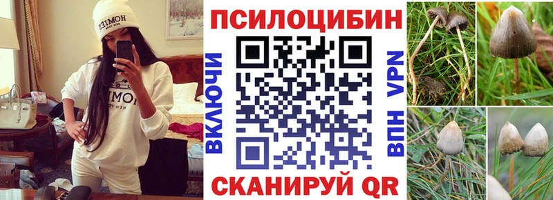Галлюциногенные грибы Magic Shrooms  Купить закладки  Калач-на-Дону 
