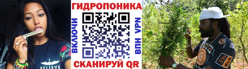 Купить  Калач-на-Дону  Каннабис OG Kush 